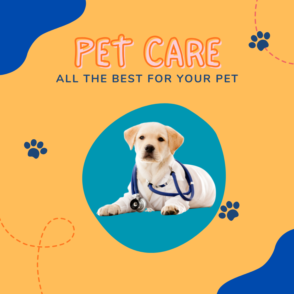Pet Care