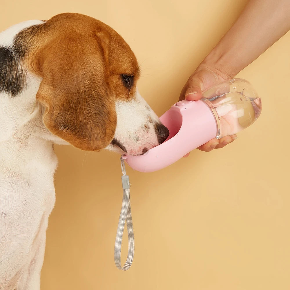 Pink portable pet water bottle being offered to a dog with a click-top spout