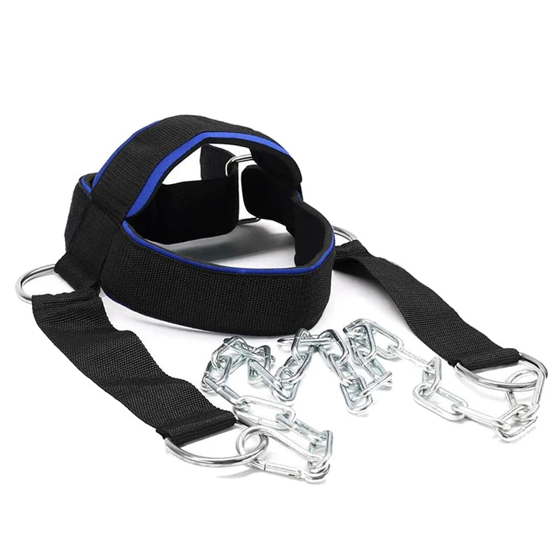 Black head and neck harness with blue trim, metal buckles and link chains