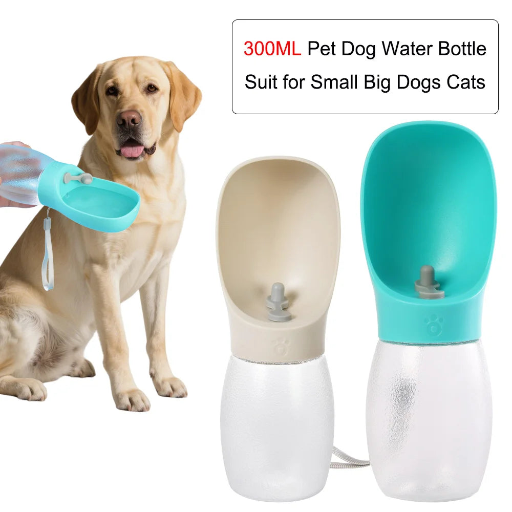 300ML pet water bottle with turquoise top, white body, and drinking spout