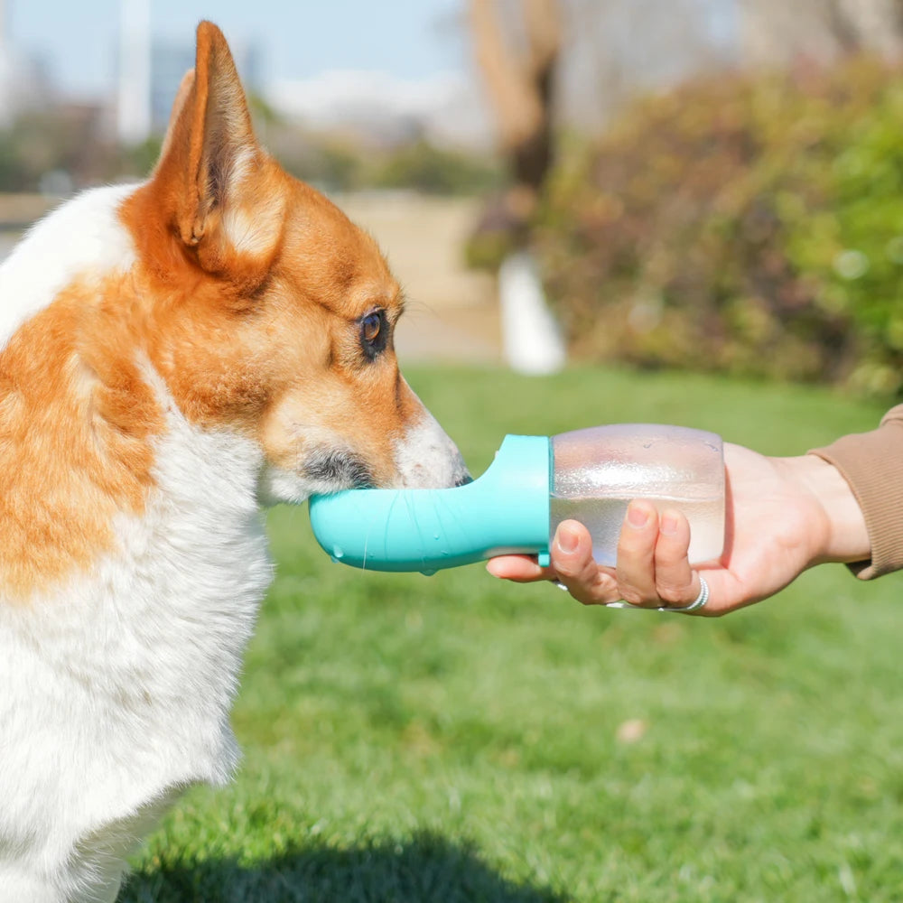 Pet water bottle in turquoise and white used to offer water to a dog