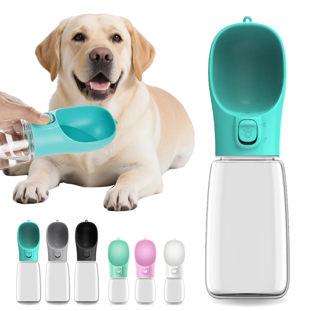 Portable pet water bottle with teal cup spout, held for a dog to drink outdoors